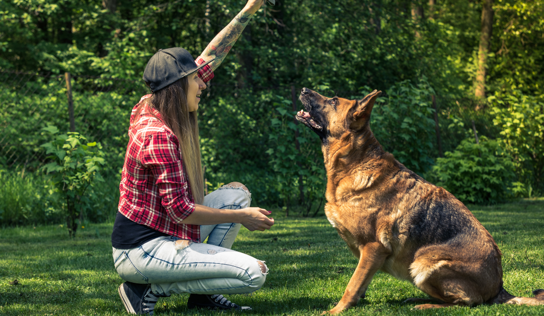 The Ultimate Guide to Pet Training & Behavior for Happy, Well-Behaved Pets